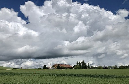 Мой личный путь к гештальт-терапии