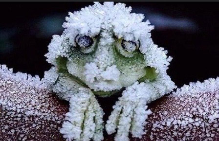 Может лучше вовсе без отношений