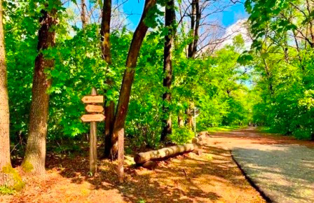 Как выбрать психолога