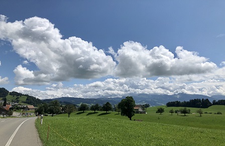 Как гештальт-терапия работает с потребностями