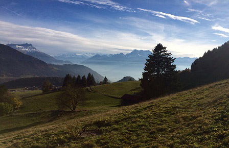 Об ответственности родителей