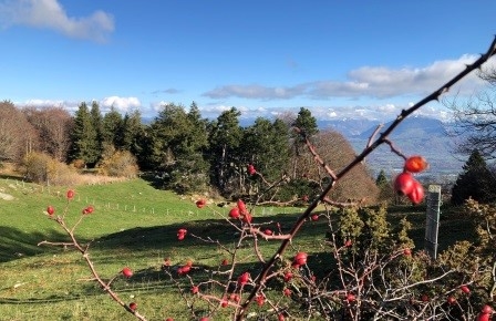 Как перестать ревновать