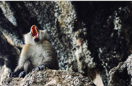 Как отстоять себя