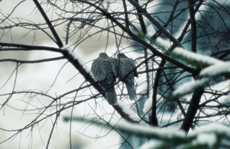 Признаки созависимых отношений