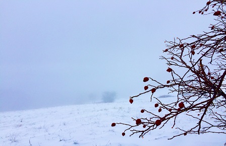 созависимые отношения