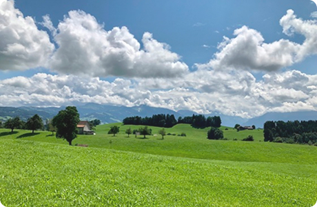 Процесс терапии